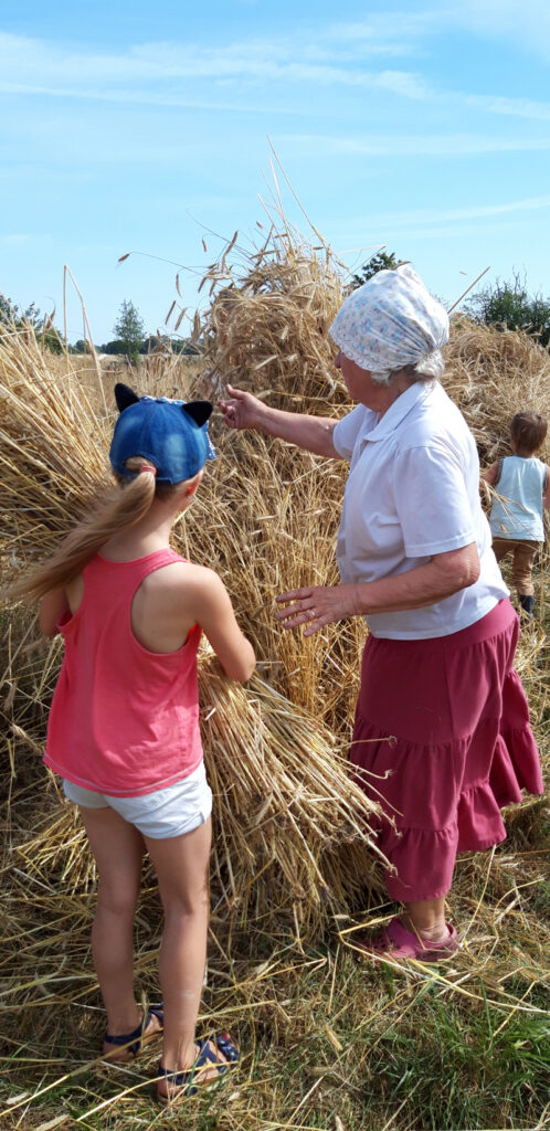 Rehepeksupäev Heino Prosti põllutöömasinate muuseumis
