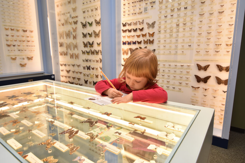 Muuseum kui mänguväli