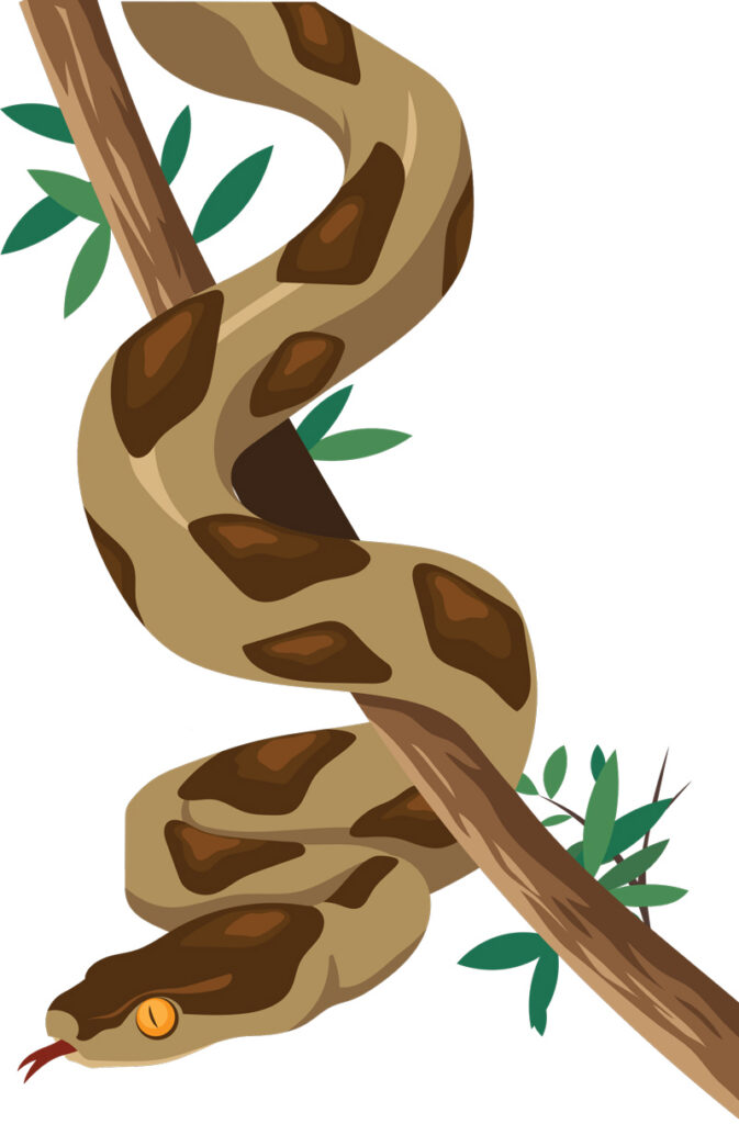 Kaebupunn on kodu peegel