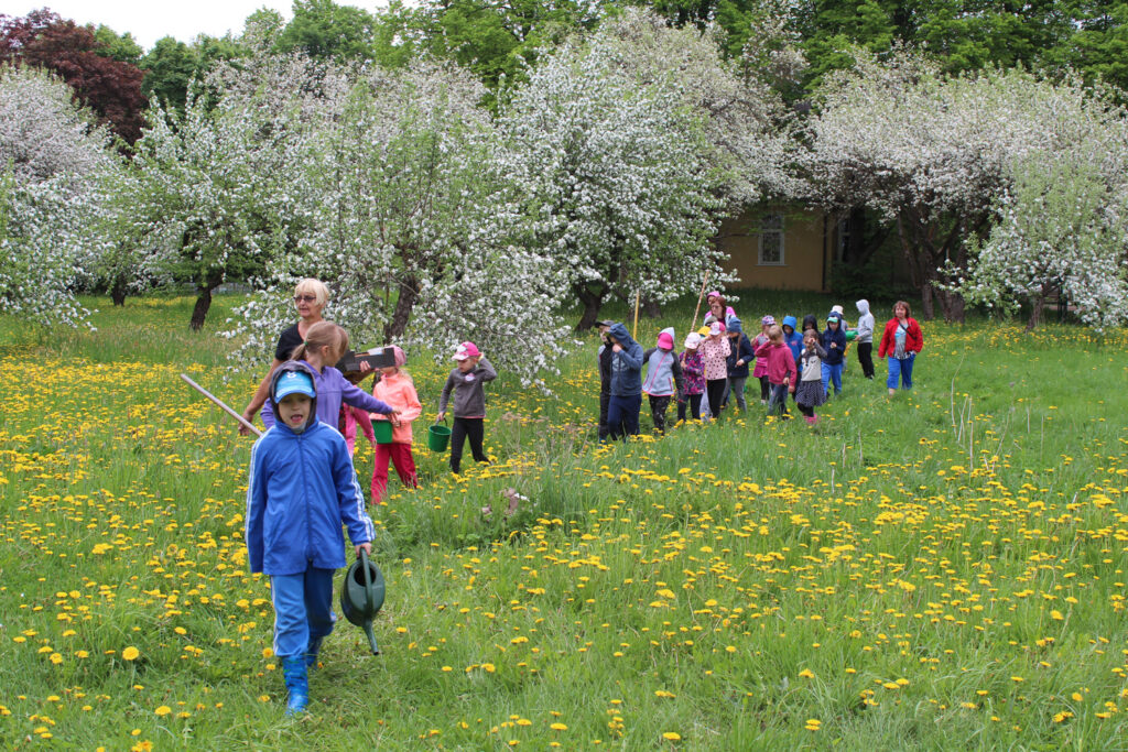 Anne Luik: „Taastagem kooliaiad“