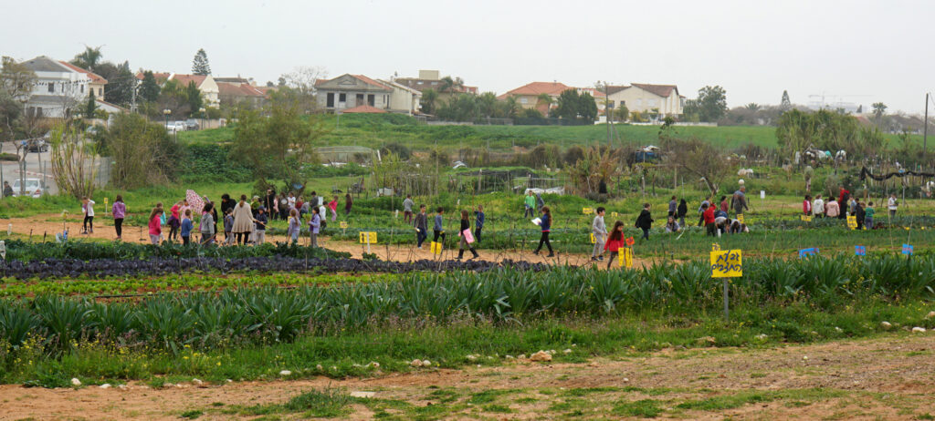 Demokraatlikus koolis on võimul lapsed