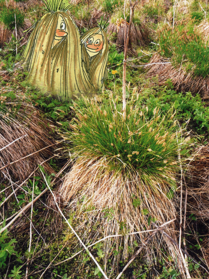 Pokud tähistavad Edgar Valteri 90. sünniaastapäeva