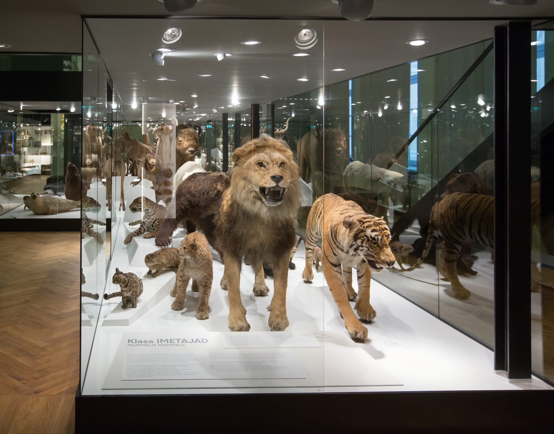 Klassist välja – loodusmuuseumi, botaanikaaeda ja teatrisse!