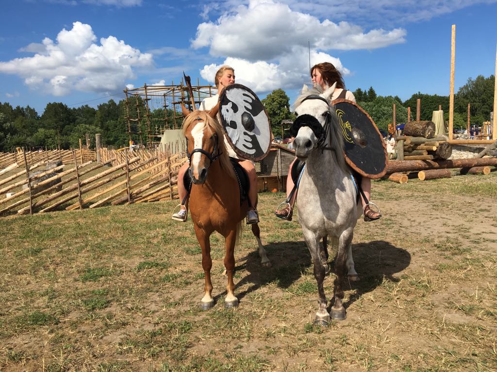 Tule ja seikle nagu Saaremaa viikingid muiste!