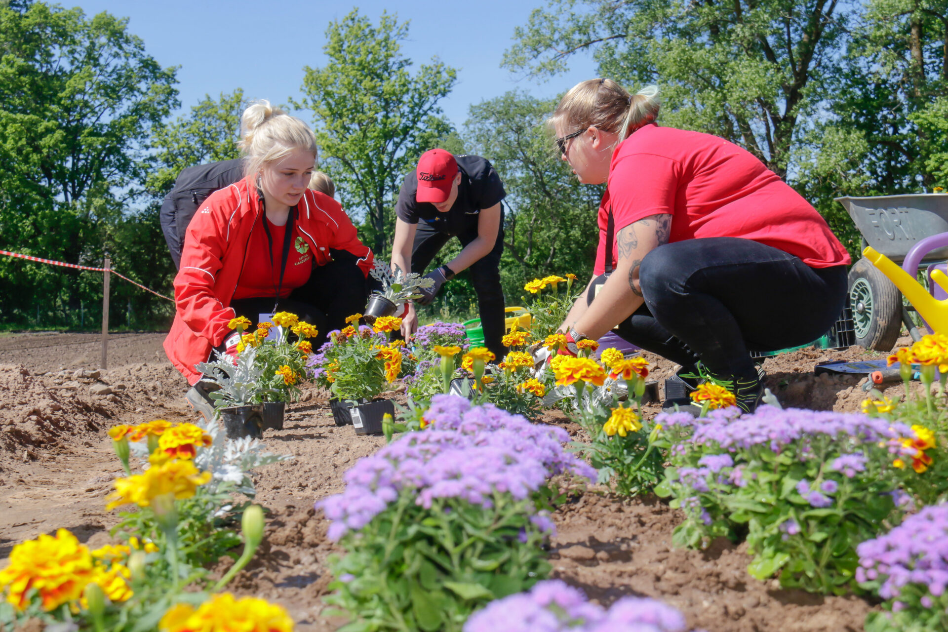 Euroopa parimad aednikud on Räpina aianduskoolis