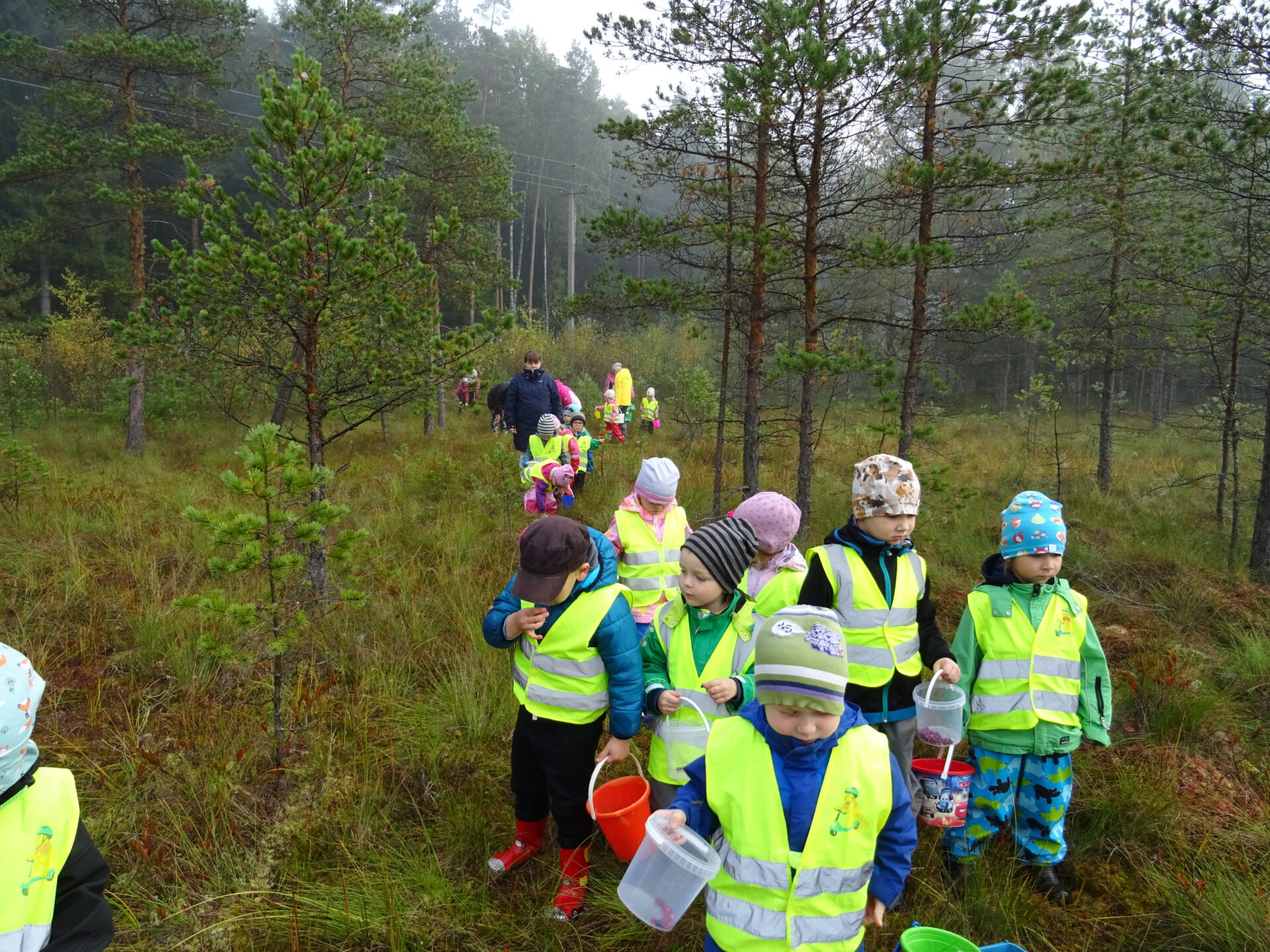 Vabadus ja loovus käivad käsikäes
