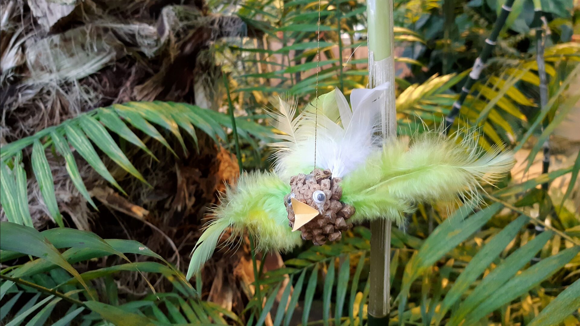 Jõulukuul sooja troopikasse 1.–4. klassi õpilastega