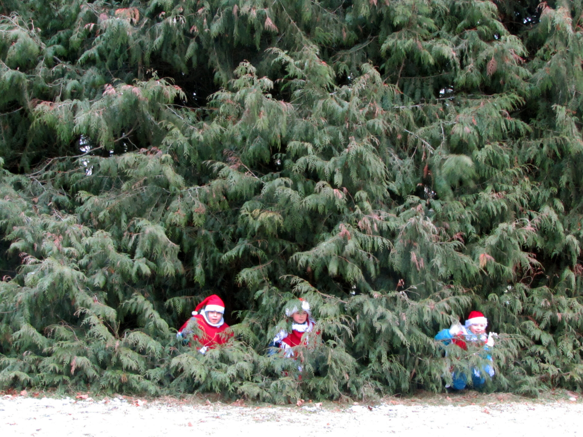 Pikaveres päkapikumaal