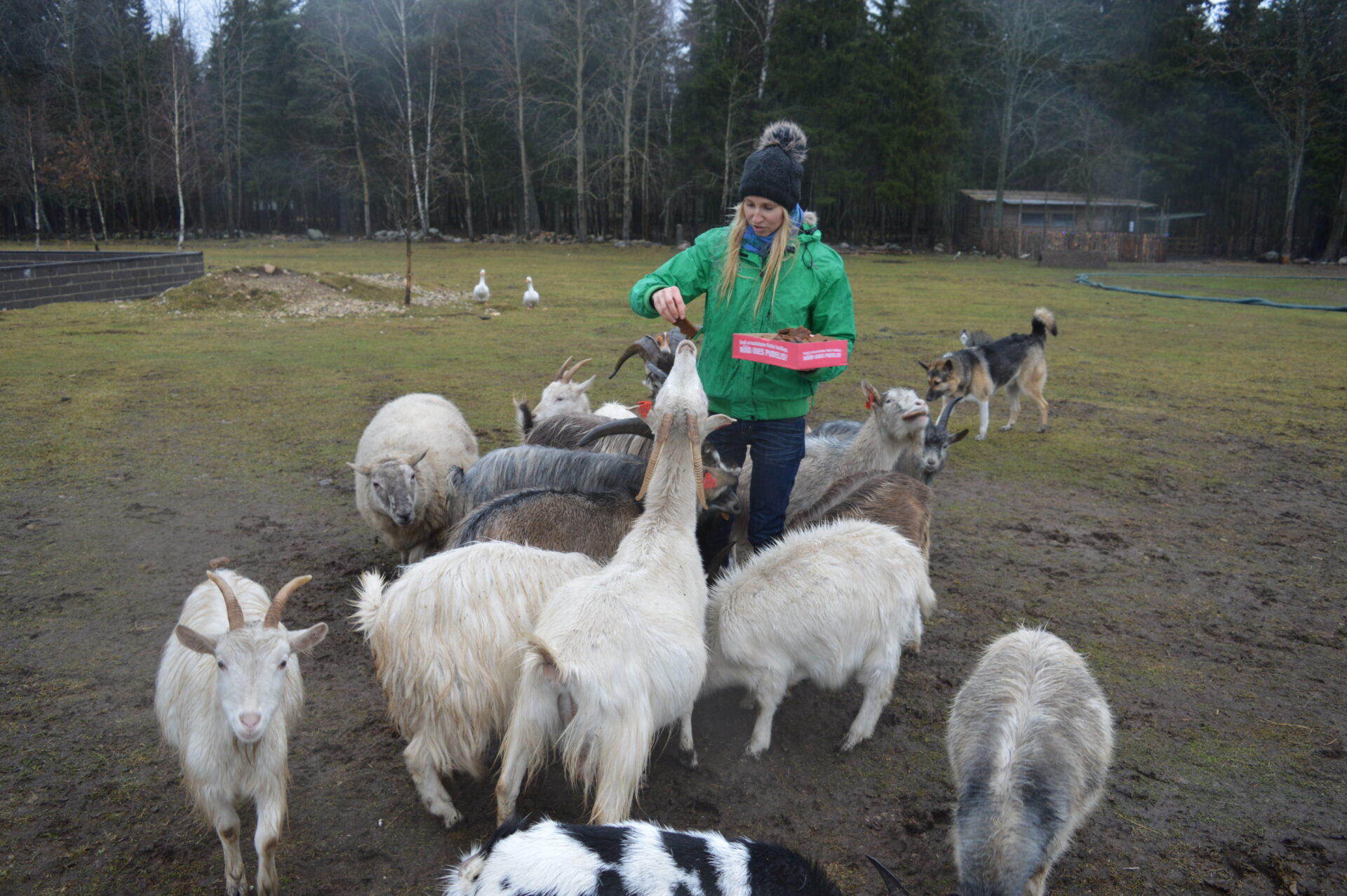 Talu kui kool – igaüks on isiksus