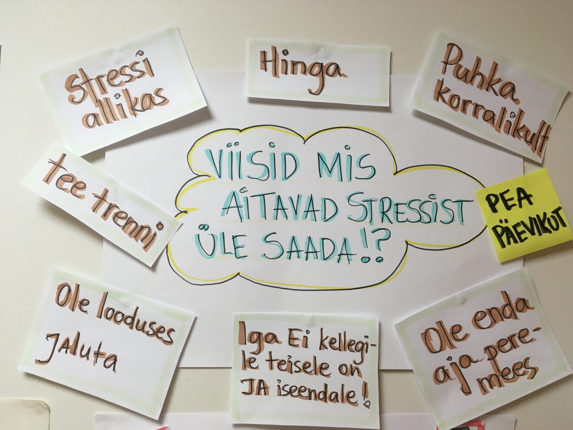 Kutsevalikuõpe toob  kõhklejadki kooli