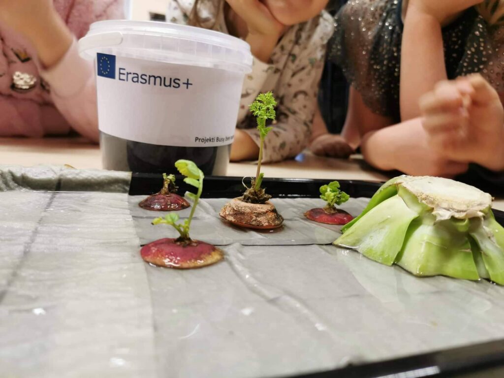 Mida Lehola lasteaia lapsed taimede kohta õppisid? ﻿