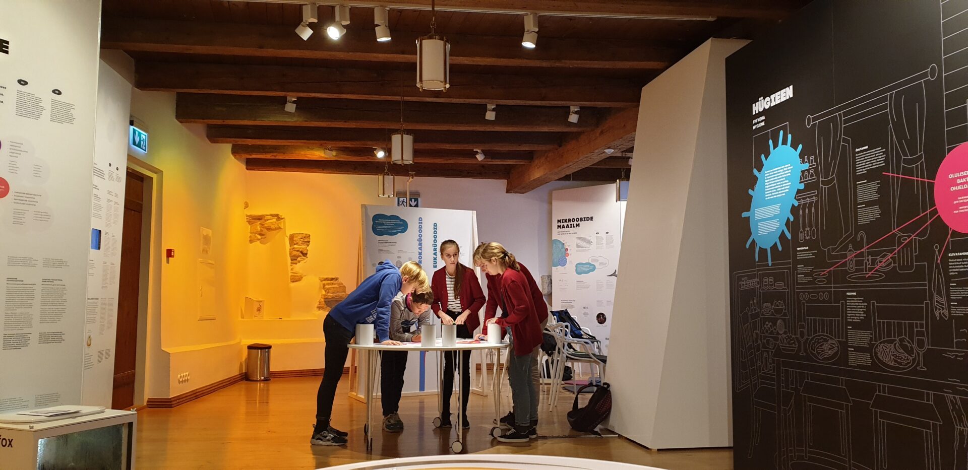 Tulge Eesti Tervishoiu Muuseumi  põnevasse bakteritundi