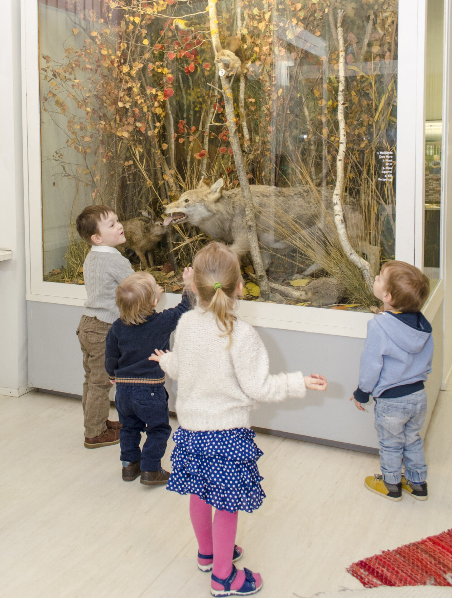 Haridusprogrammid Viljandi Muuseumis