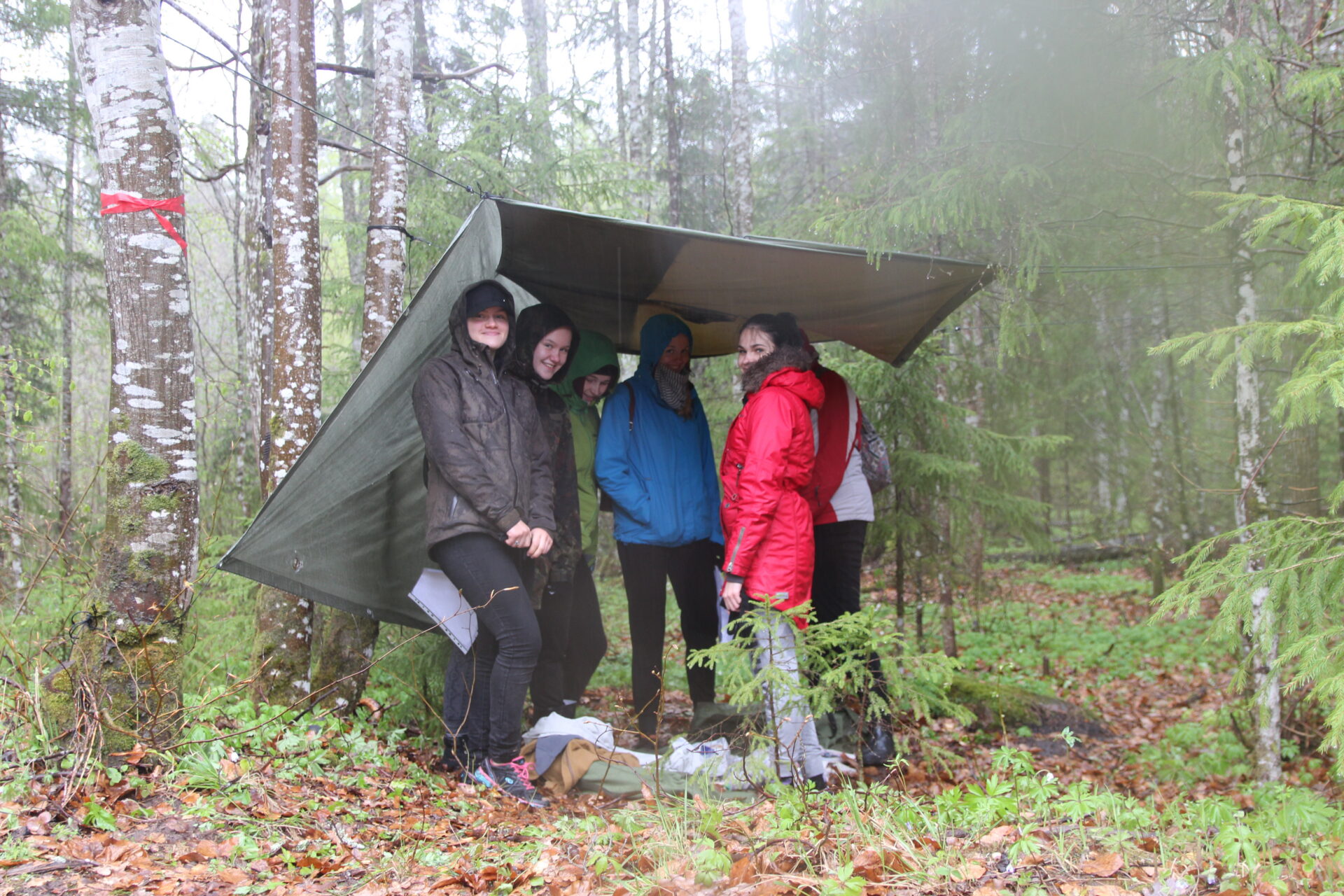 Metsateadmised viivad hakkajad gümnasistid Ukrainasse