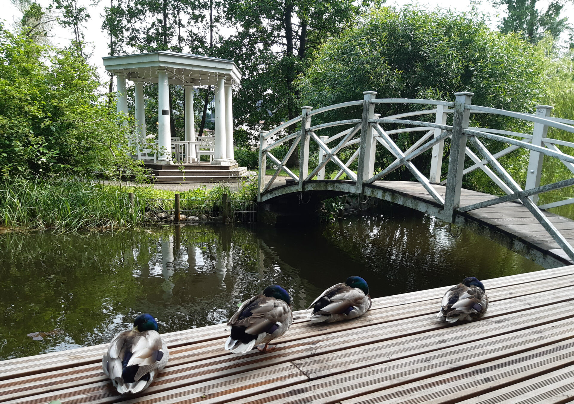 Klassist välja – loodusmuuseumi, botaanikaaeda ja teatrisse