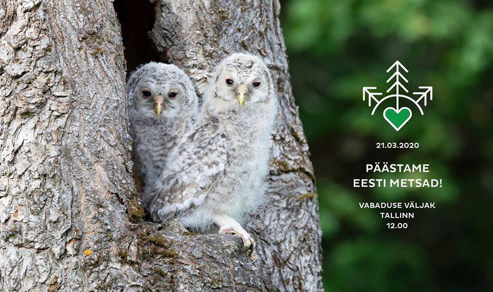 Ühismeeleavaldus „Päästame Eesti metsad!“