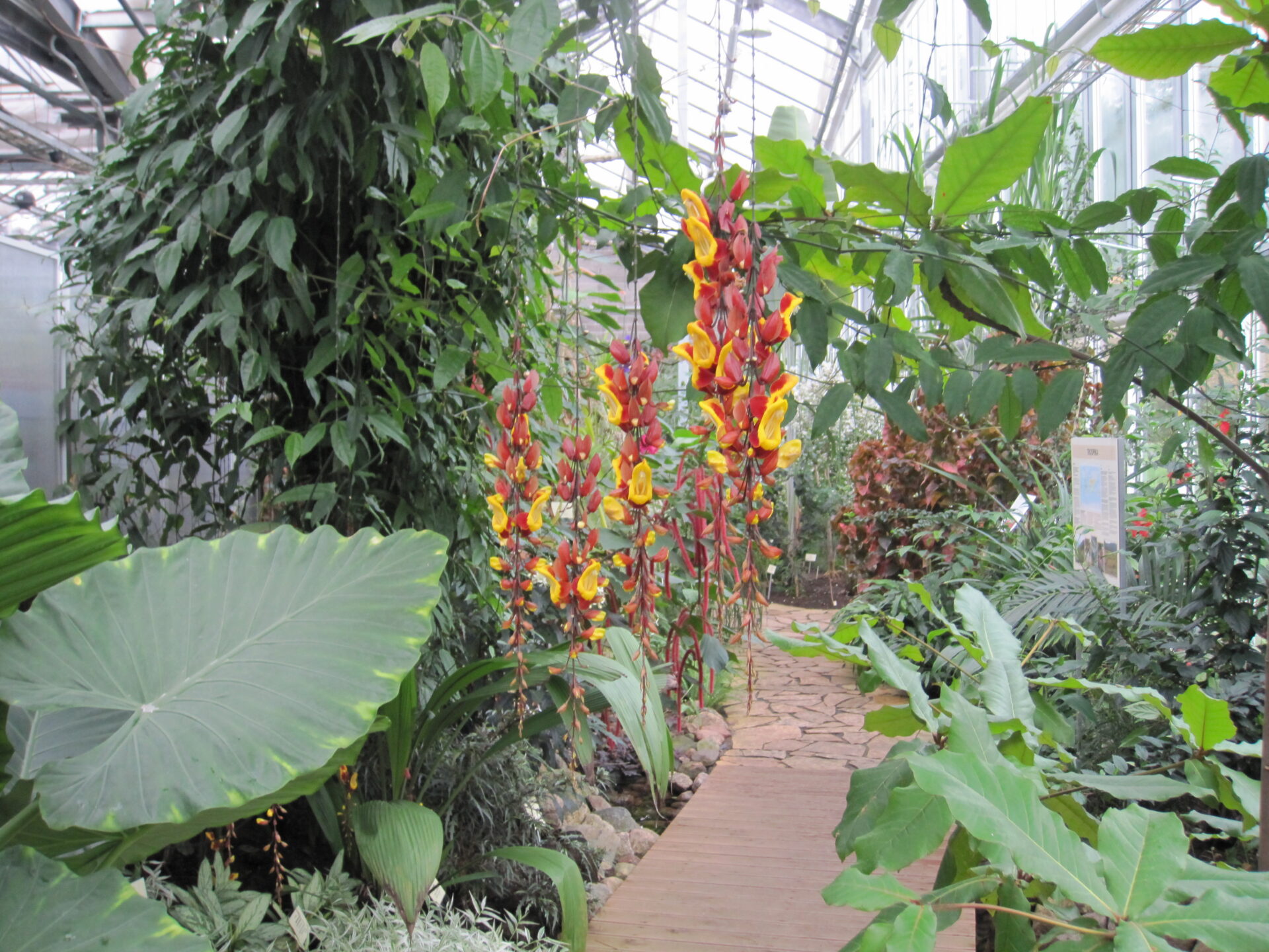 Botaanikaaed on hea õppebaas elurikkuse tundmaõppimiseks