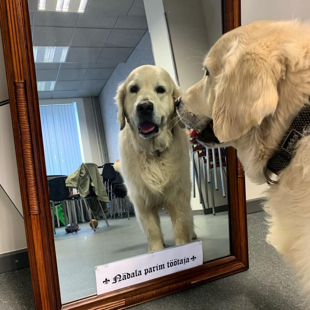 Tartu liitis eriolukorras lapsevanemad, koolid ja lasteaiad