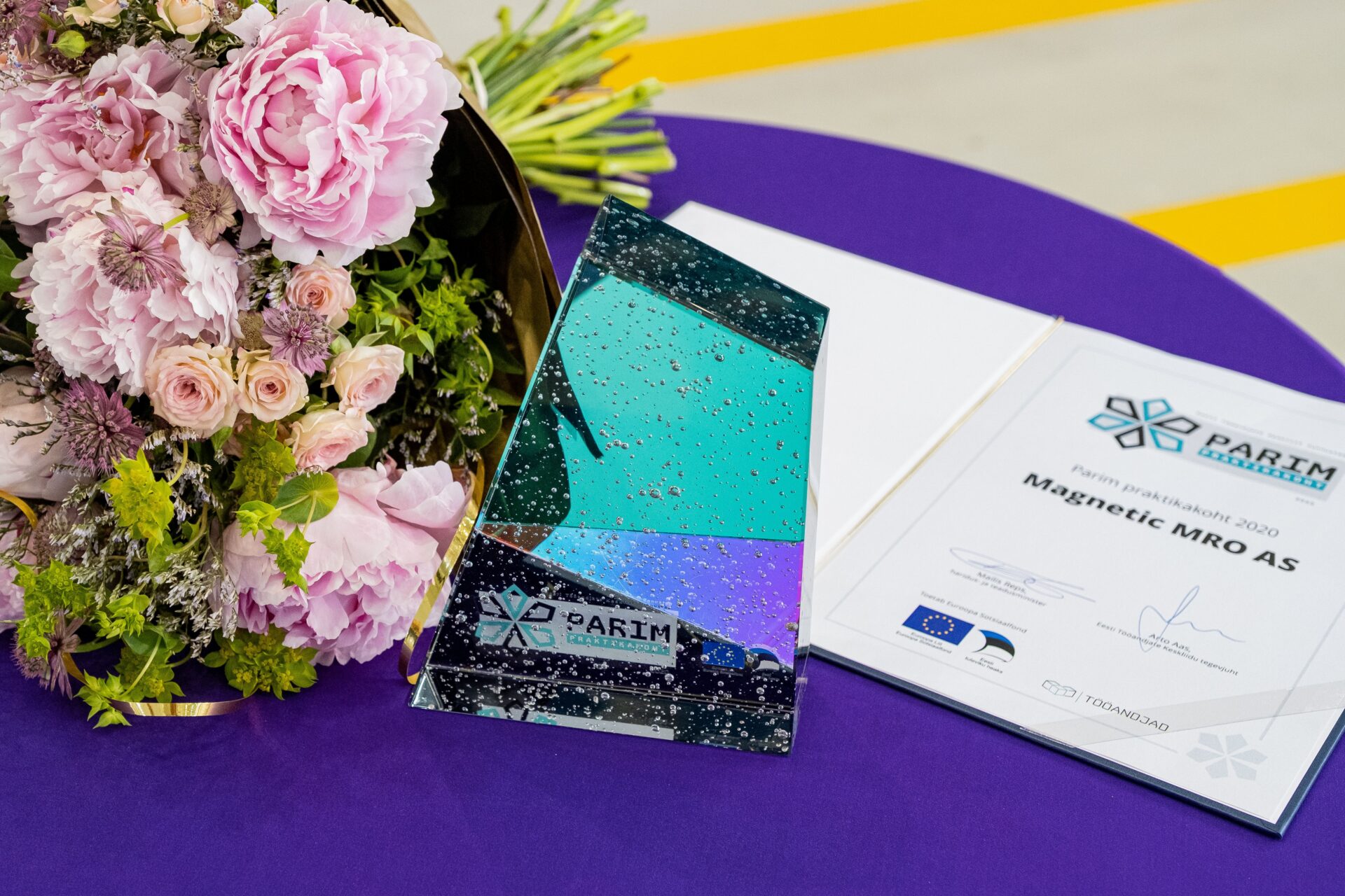 Aasta parim praktikaettevõte on lennukeid hooldav Magnetic MRO