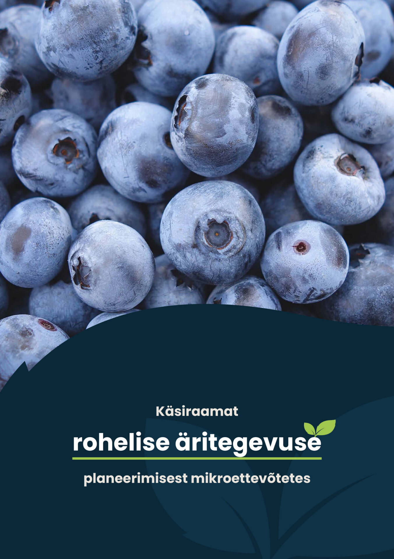 NatureBizz toetab rohelist ettevõtlust