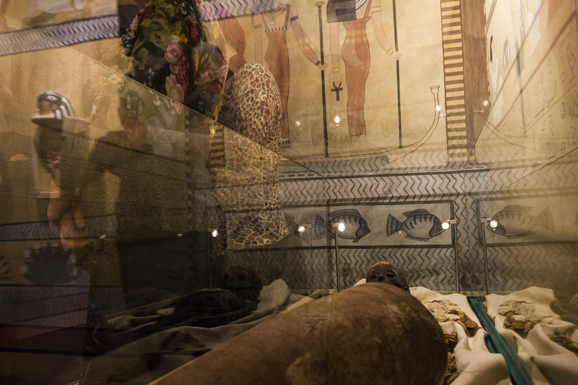 Maapõuest tähtedeni – õppepäev  Tartu Ülikooli muuseumi erilistes keskkondades