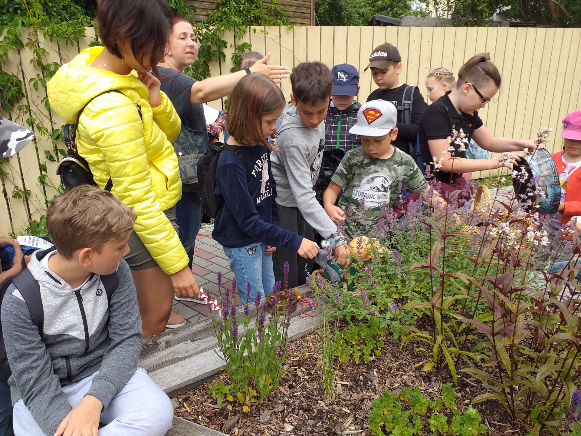 Kalamaja! Põnev koht, mida avastada