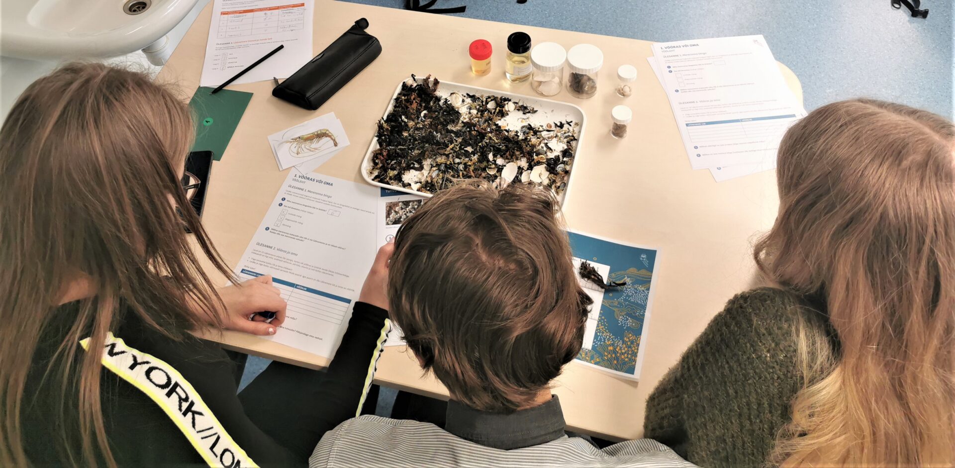 Kutsu loodusmuuseum külla