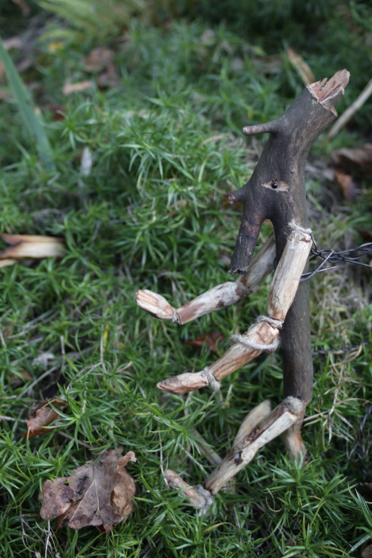 Botaanikaaiast sai õpiruum