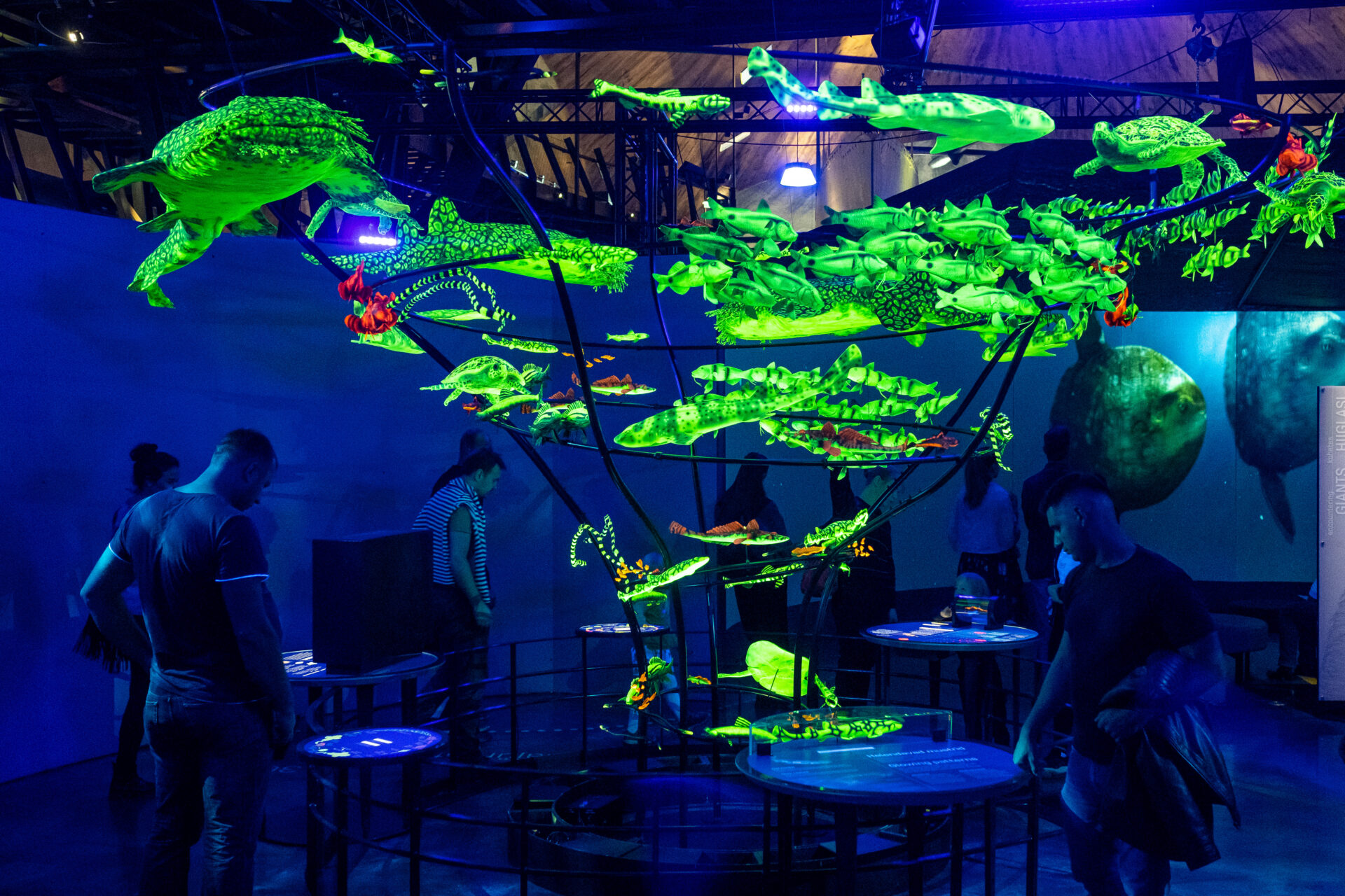 Lennusadamas jätkub Ameerika rändnäitus ookeanidest