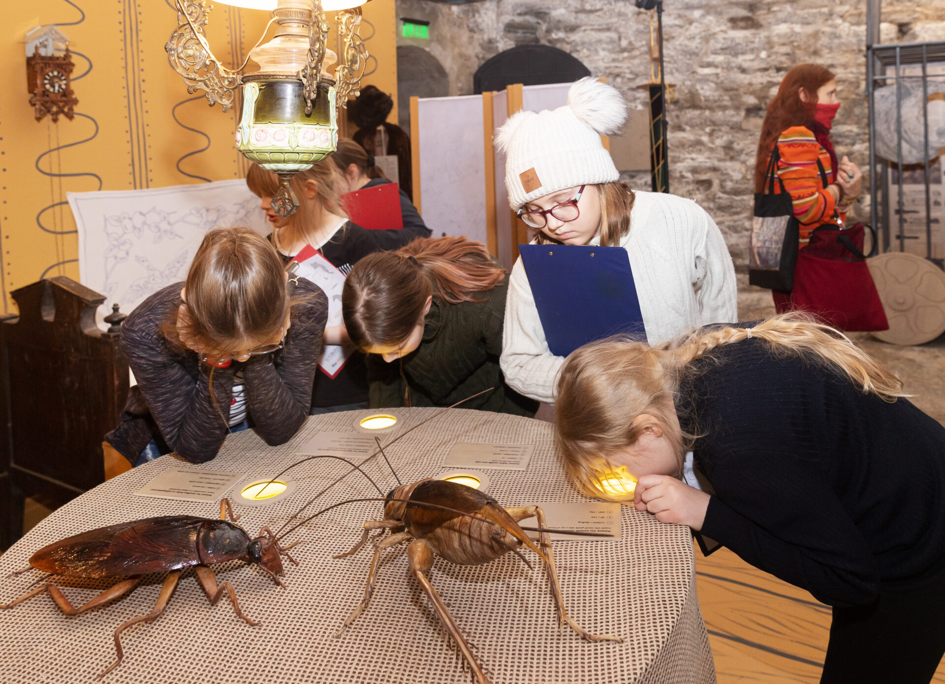 Loomade ja inimeste ühine ajalugu