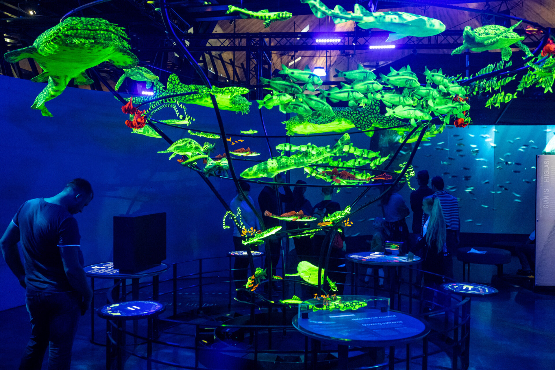 Miks õppida merd tundma muuseumis?