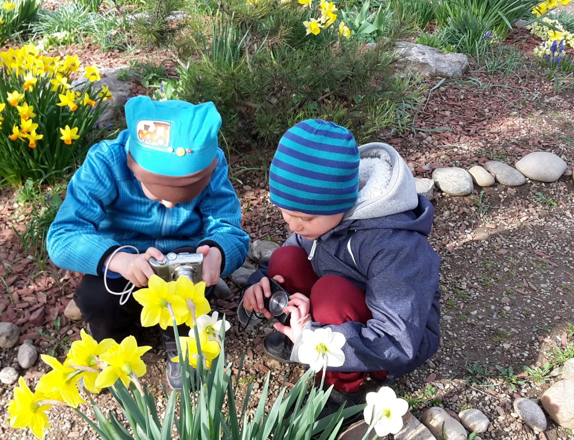 Fotograafia lasteaias: mitmes mõttes arendav