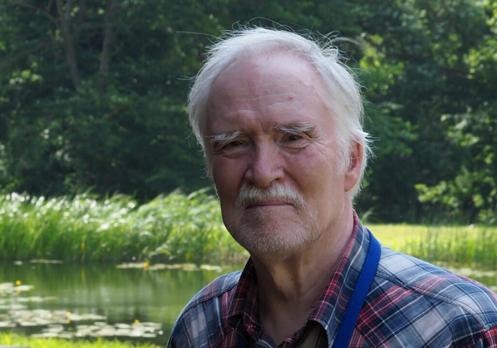 Vanaduse valu ja võlu