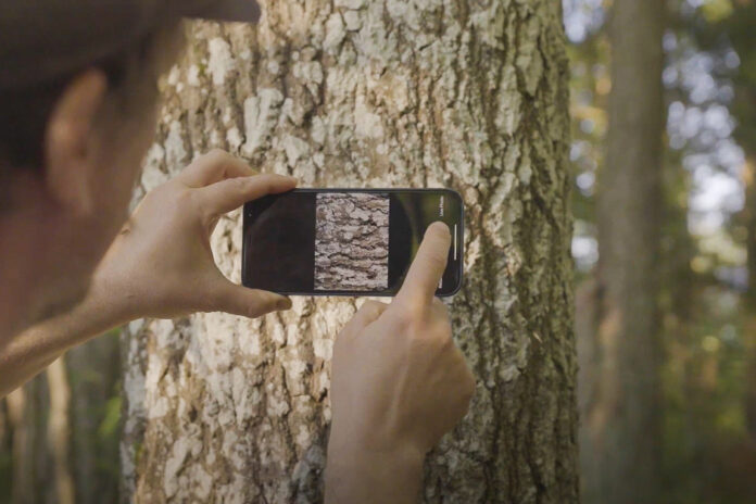 „Tähelepanu! Valmis olla! Samblik!“