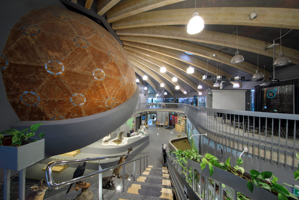 STEAM-programmid loovad loodusest terviklikuma pildi