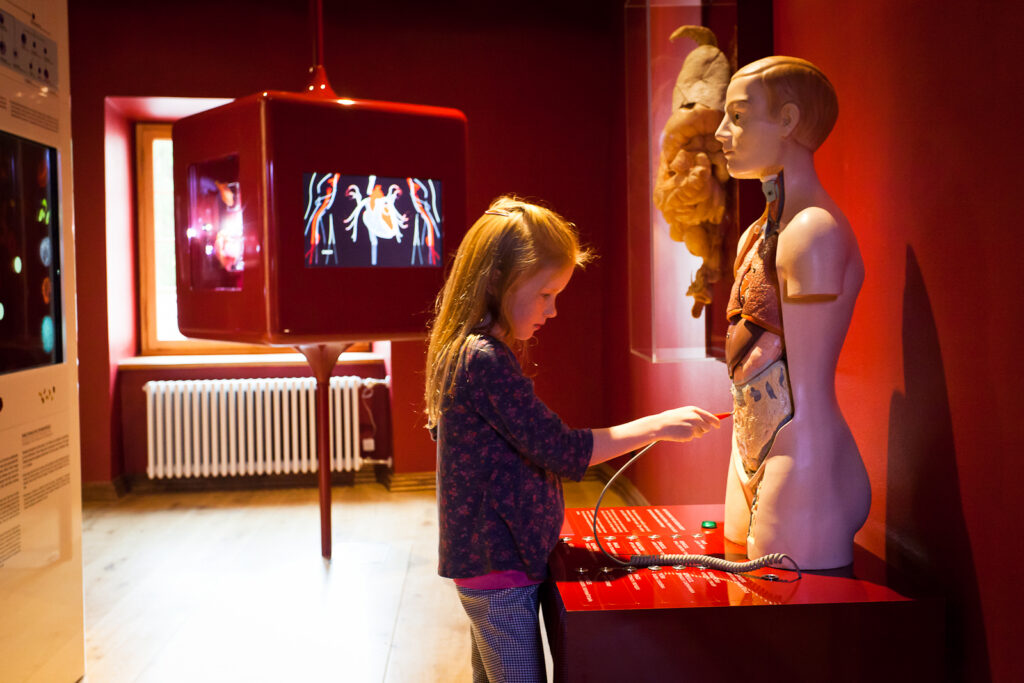 Sisuturundus: Puust ja punaseks kaheksa muuseumi koostöös