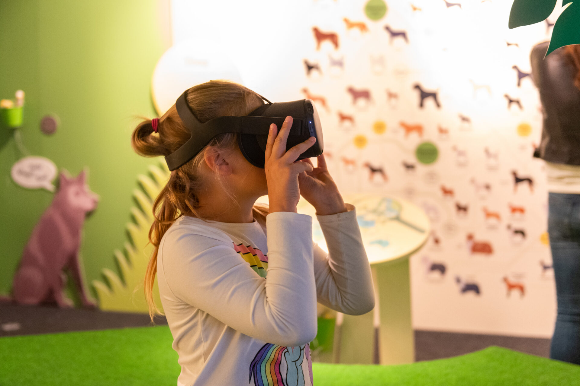 Kuhu koer on maetud?