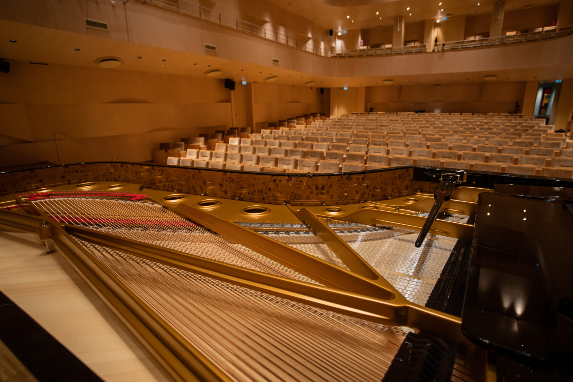 EMTA-s alustab uus kooliõpilastele suunatud kontserdisari