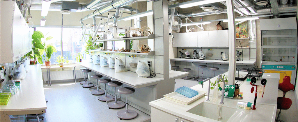 Tallinna Ülikool kutsub noori teadushuvilisi 21. septembril laborite ringkäigule