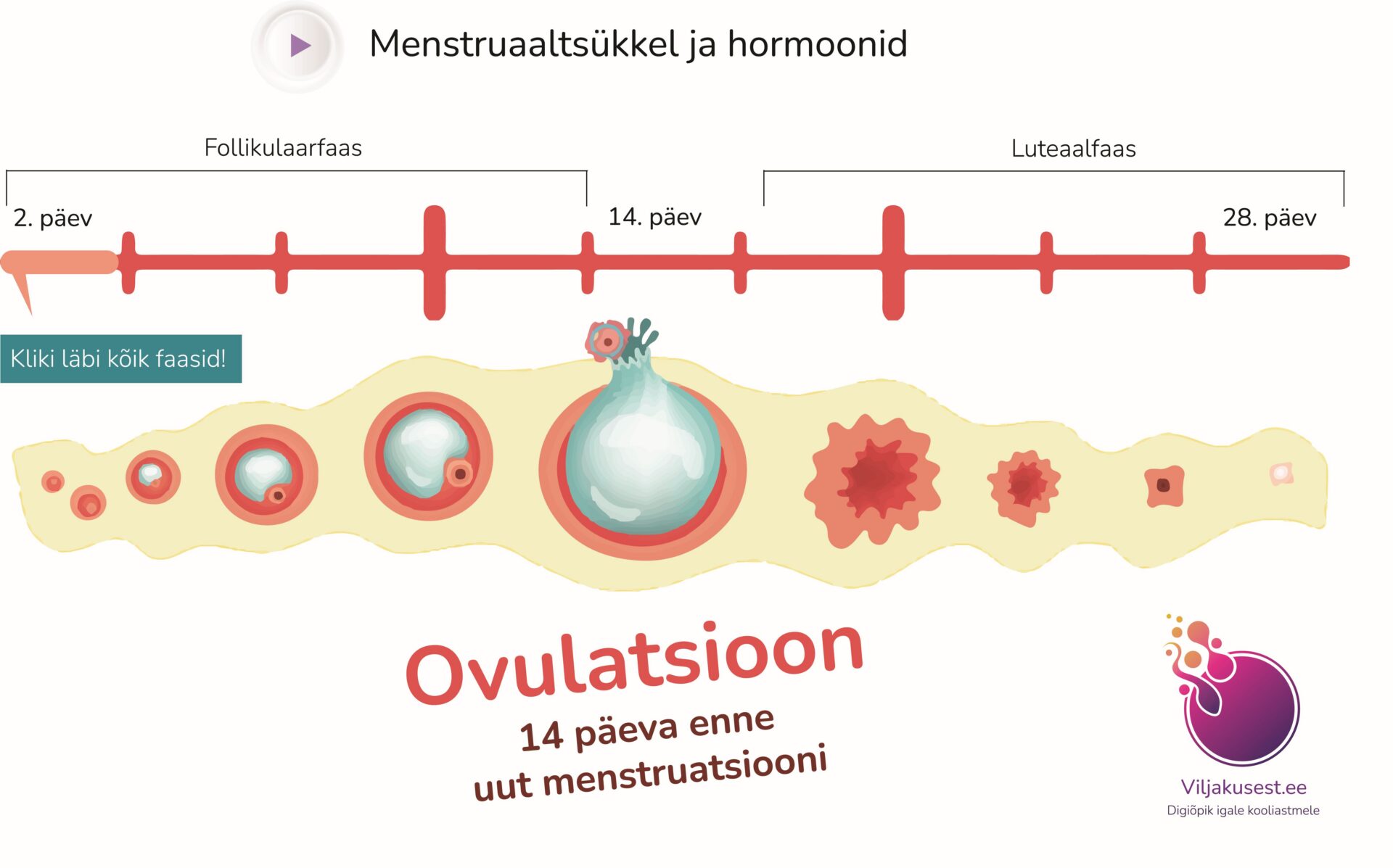 Viljakas või viljatu – digiõpikuga targemaks