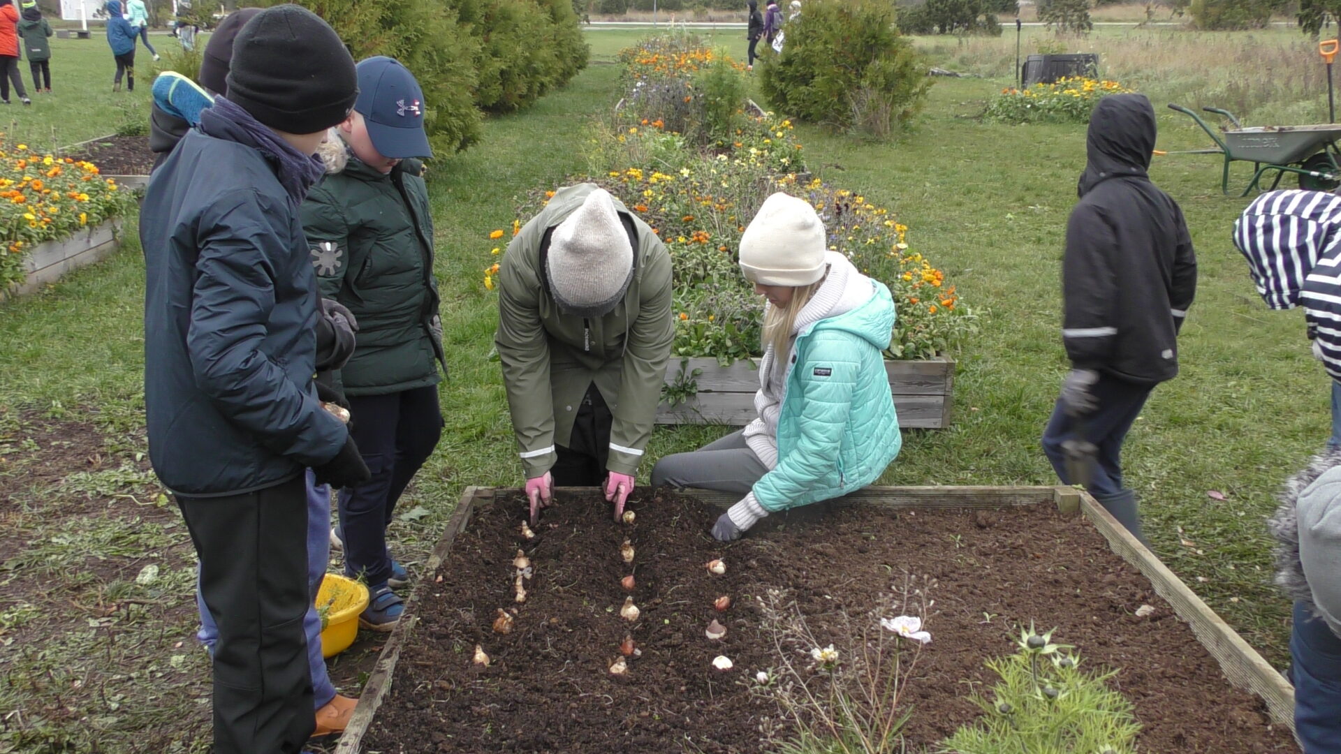 Kuidas sääreväristajat parandada?