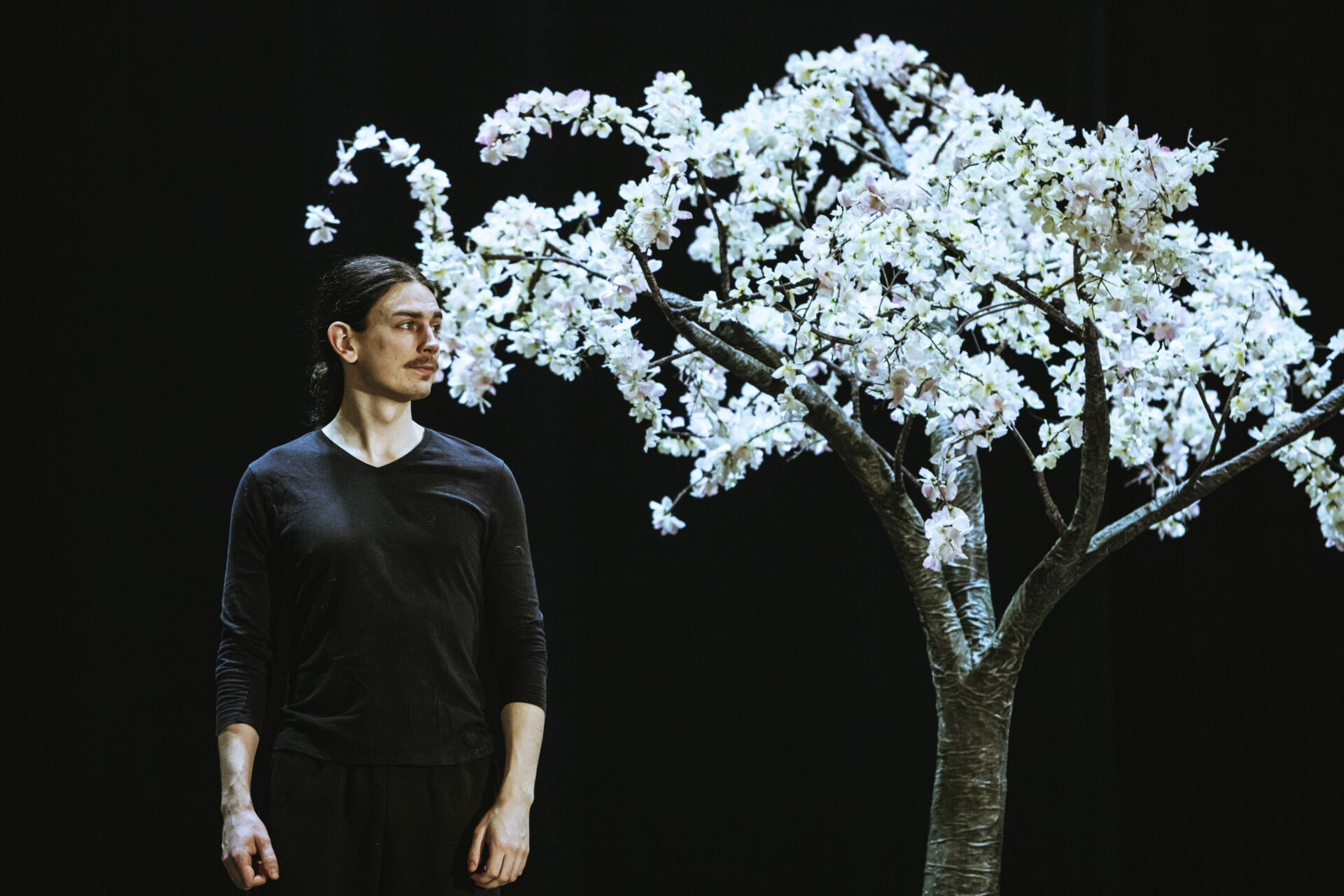 Vanemuise teatri „Vennad Lõvisüdamed“ seob seiklused tõsiste teemadega