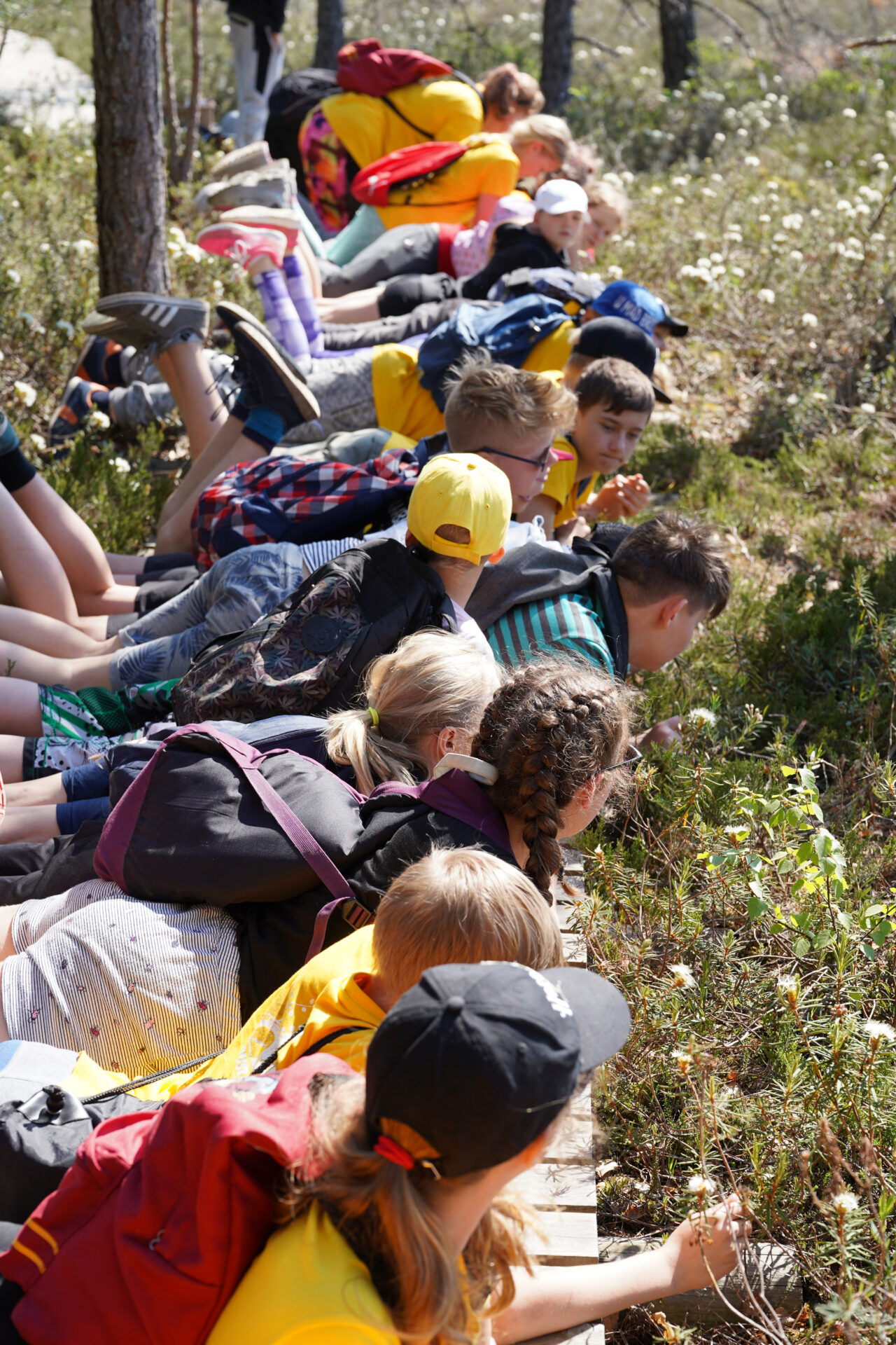 Loodushariduskeskuste õppeprogrammid – võimalus mitmekesistada koolitööd