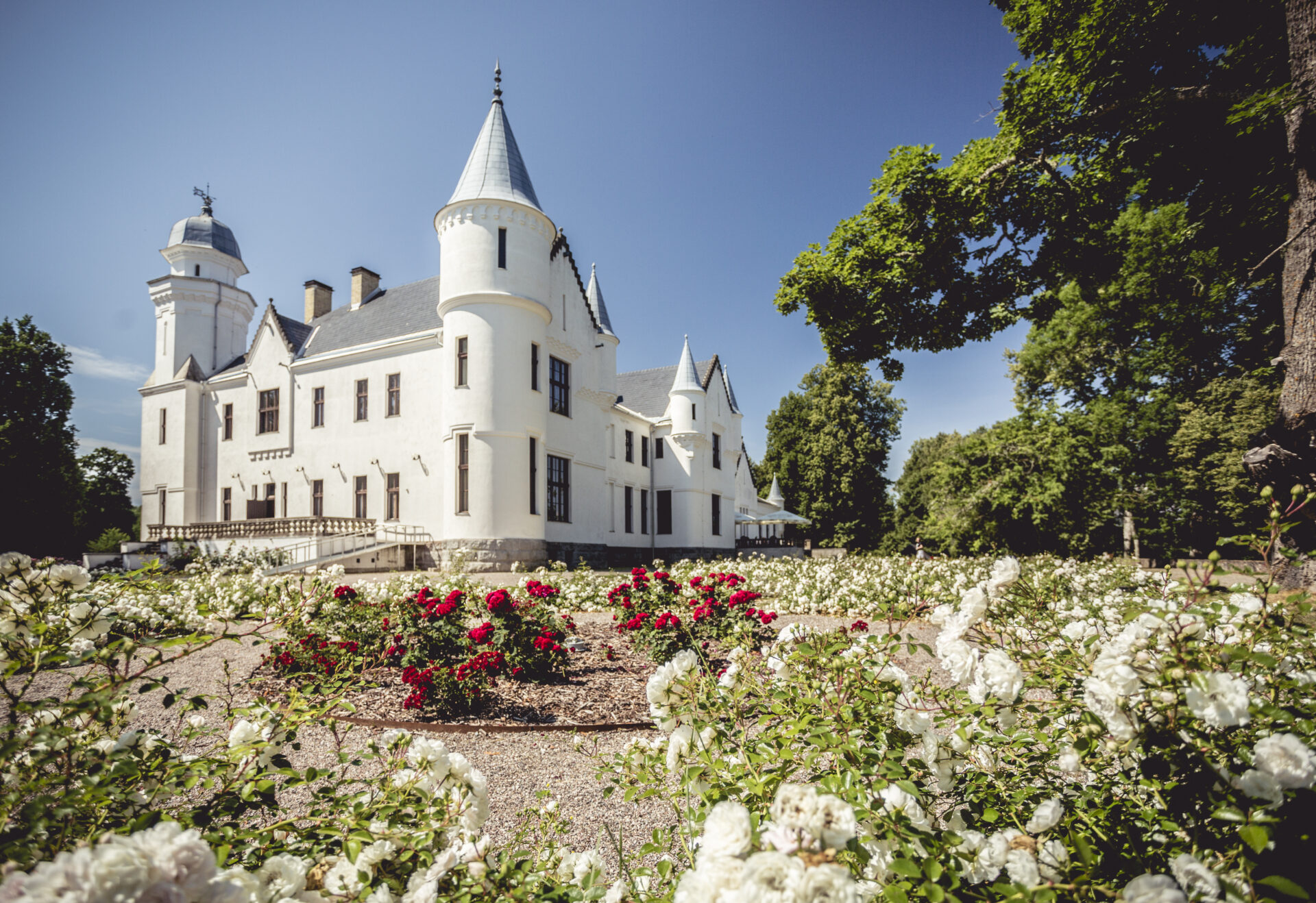 Siiruviirulisele Sibulateele tarkust koguma