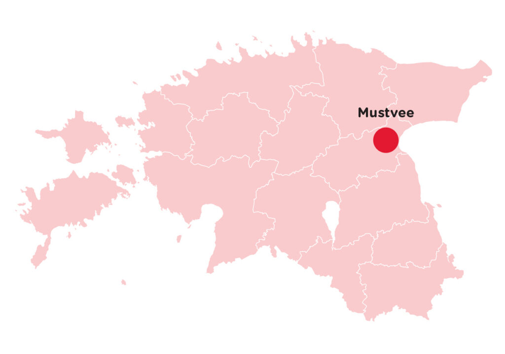 KOOLIVÕRK. Valla tugikeskus – nappide ressursside tõhusaim kasutamine