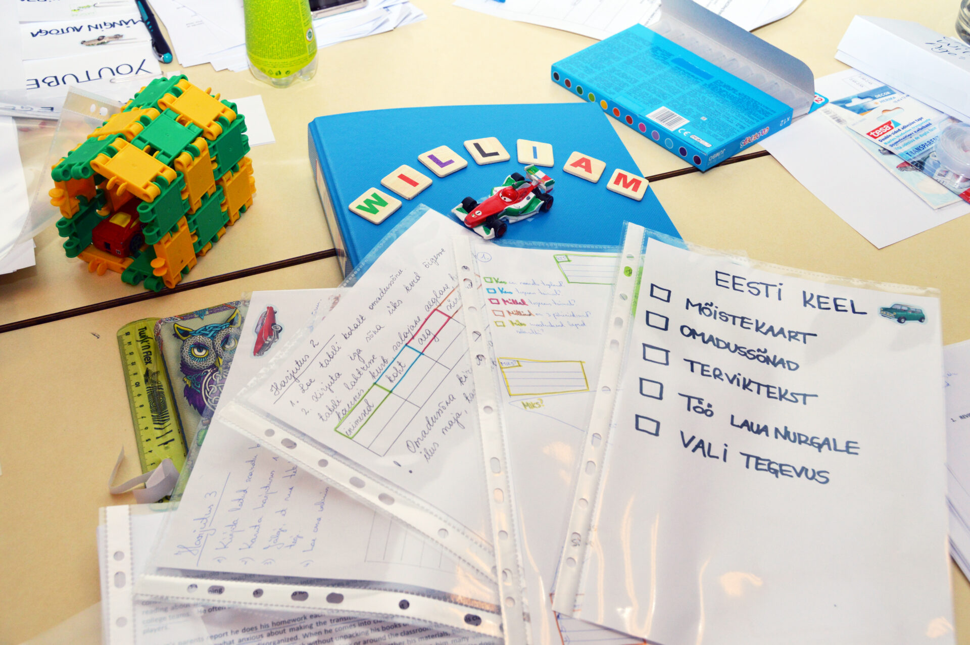 Autismispektri häirega lapsed koolis