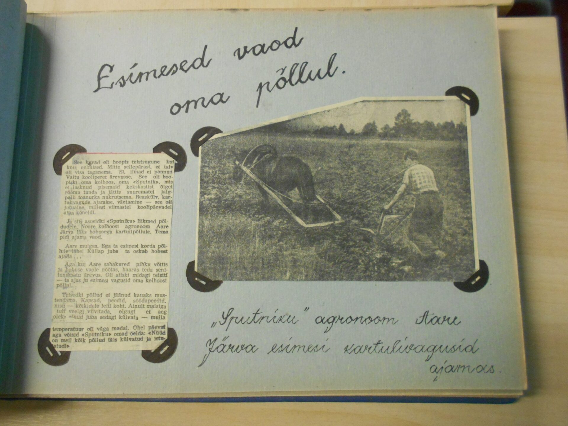 Kui õpilased haarasid härjal sarvist …