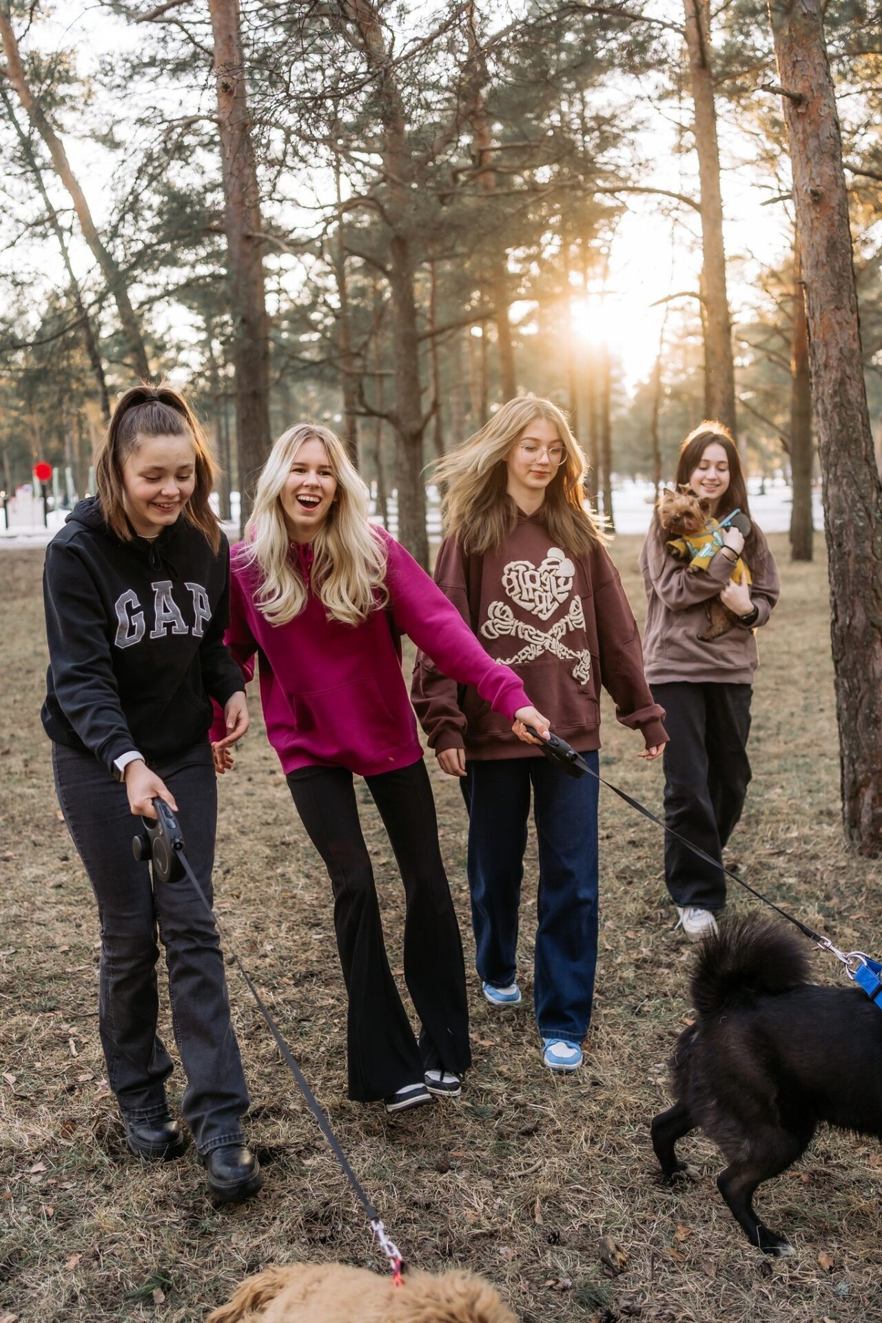 Homme selgub Eesti parim minifirma