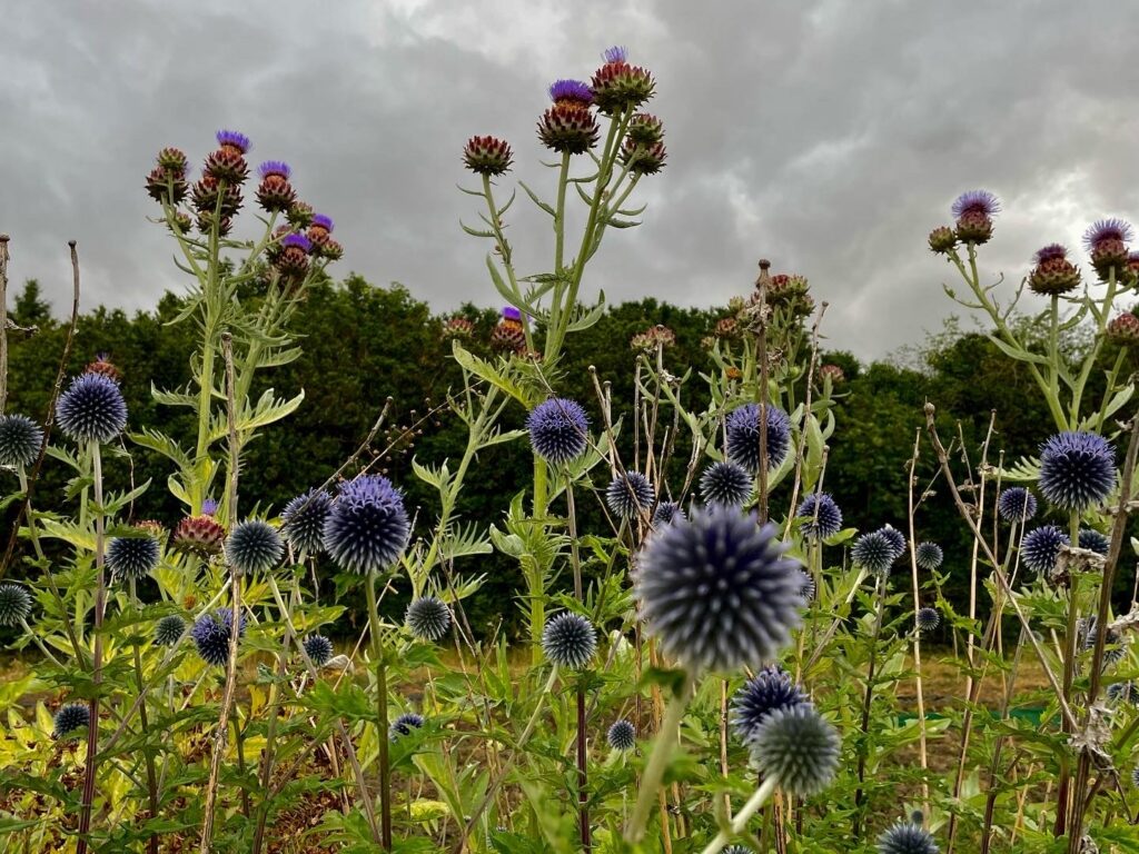 Julge karjääripöörde teinud Evelyn Sepp: praktika Inglismaal andis palju motivatsiooni