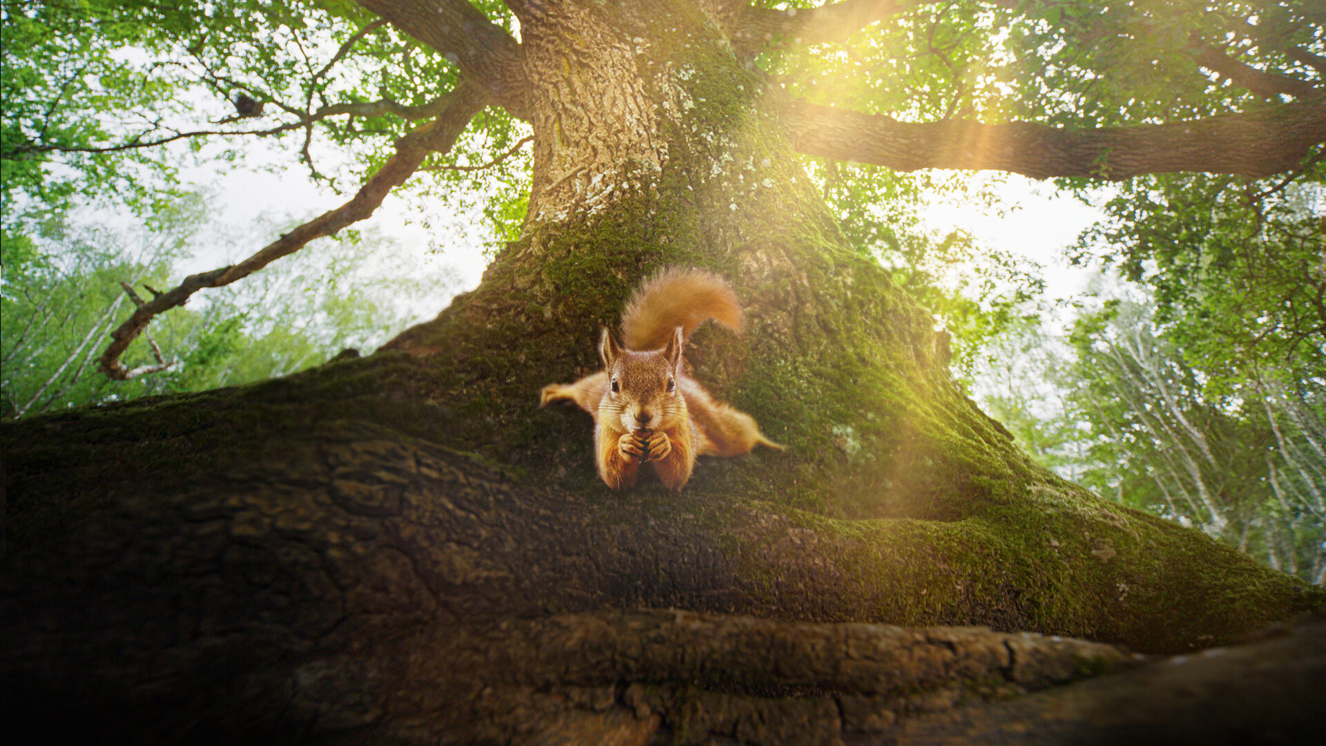 Laste filmipäevad ootavad kinosõpru Tallinnas, Tartus ja Kuressaares